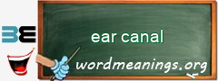 WordMeaning blackboard for ear canal